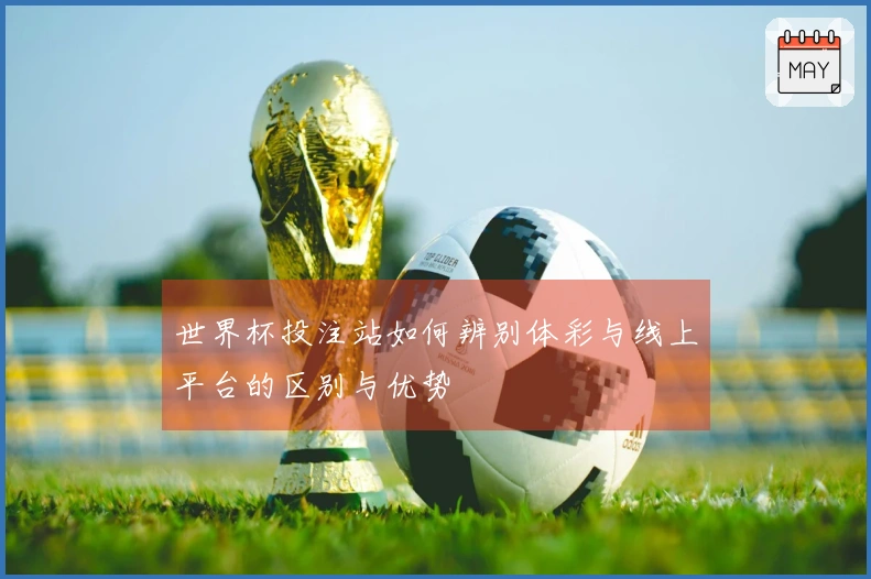世界杯投注站如何辨别体彩与线上平台的区别与优势