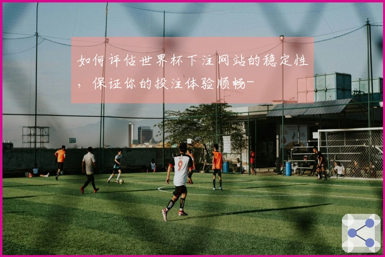 如何评估世界杯下注网站的稳定性，保证你的投注体验顺畅-