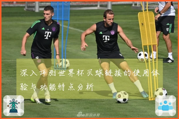 深入评测世界杯买球链接的使用体验与功能特点分析
