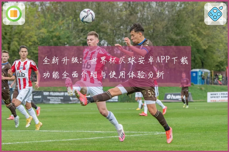 全新升级：世界杯买球安卓APP下载功能全面介绍与使用体验分析