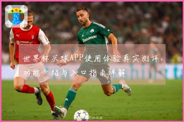 世界杯买球APP使用体验真实测评，功能介绍与入口指南详解