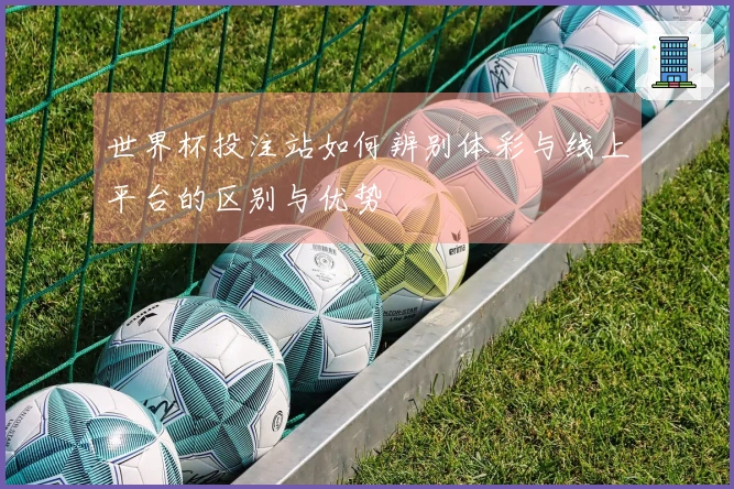 世界杯投注站如何辨别体彩与线上平台的区别与优势