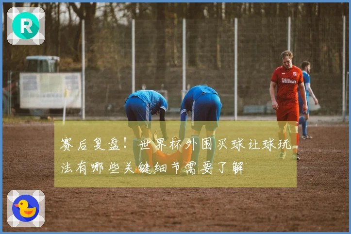 赛后复盘!世界杯外围买球让球玩法有哪些关键细节需要了解