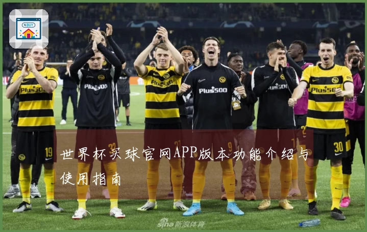 世界杯买球官网APP版本功能介绍与使用指南