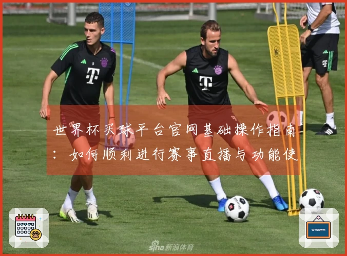 世界杯买球平台官网基础操作指南：如何顺利进行赛事直播与功能使用