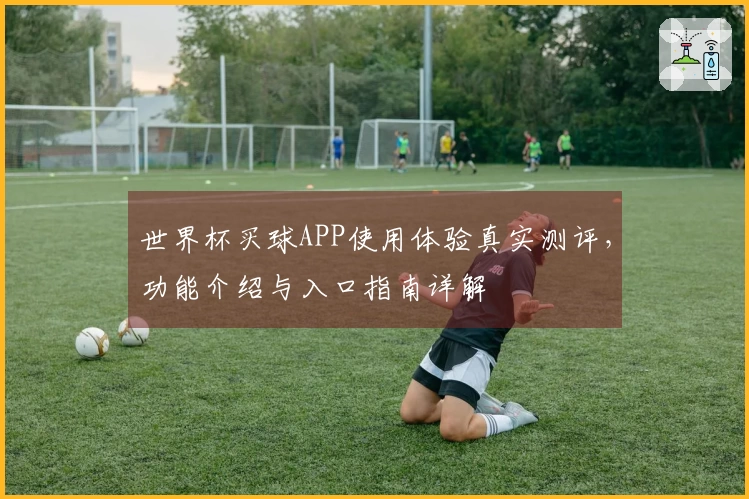 世界杯买球APP使用体验真实测评，功能介绍与入口指南详解