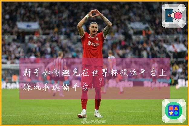 新手如何避免在世界杯投注平台上踩坑和选错平台