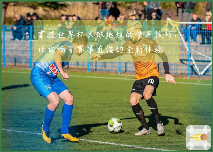 掌握世界杯买球地址的使用技巧,让你畅享赛事直播的全新体验