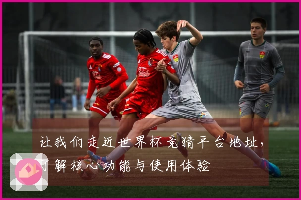 让我们走近世界杯竞猜平台地址，了解核心功能与使用体验
