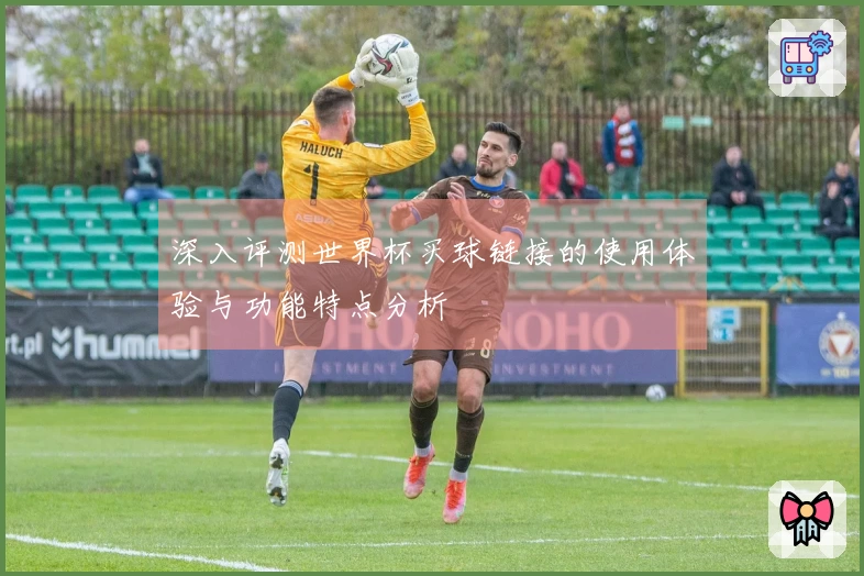 深入评测世界杯买球链接的使用体验与功能特点分析