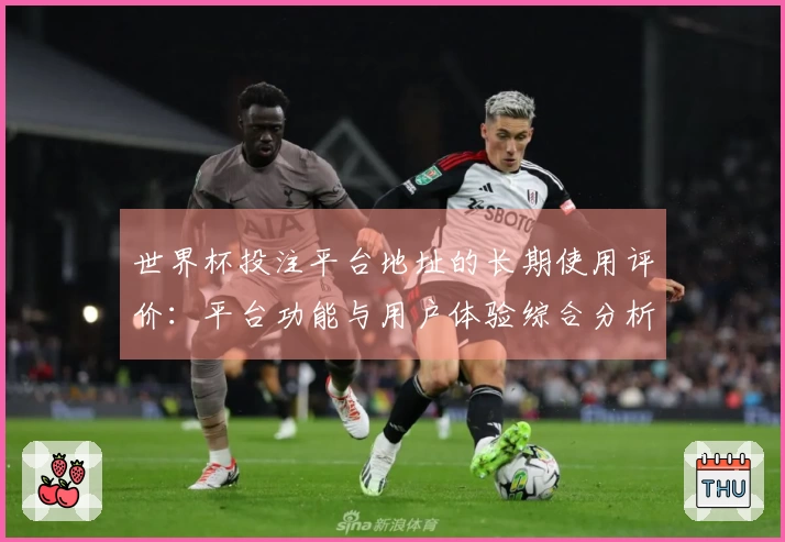 世界杯投注平台地址的长期使用评价:平台功能与用户体验综合分析
