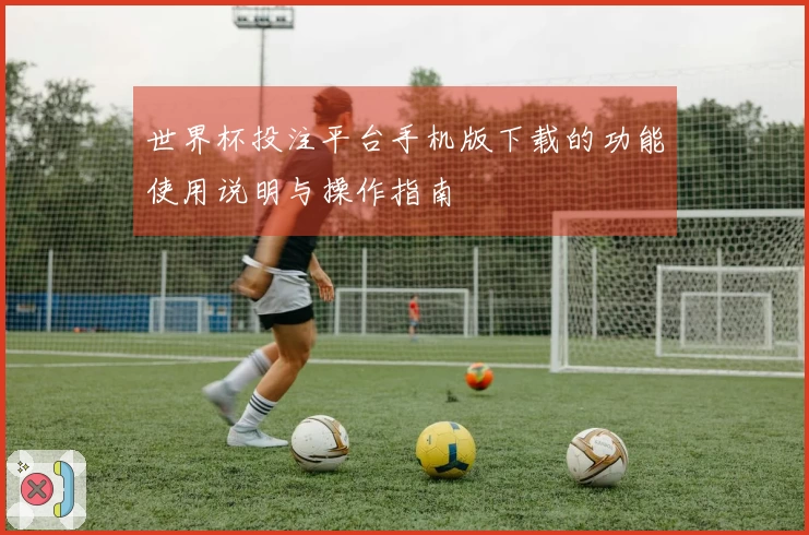 世界杯投注平台手机版下载的功能使用说明与操作指南